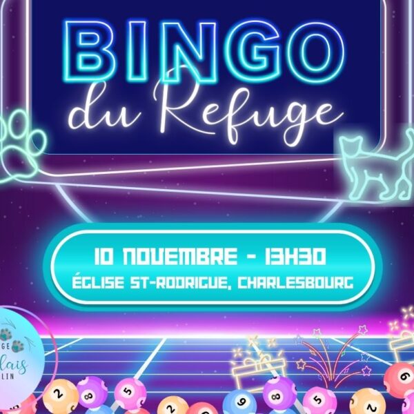 Bingo au profit du refuge