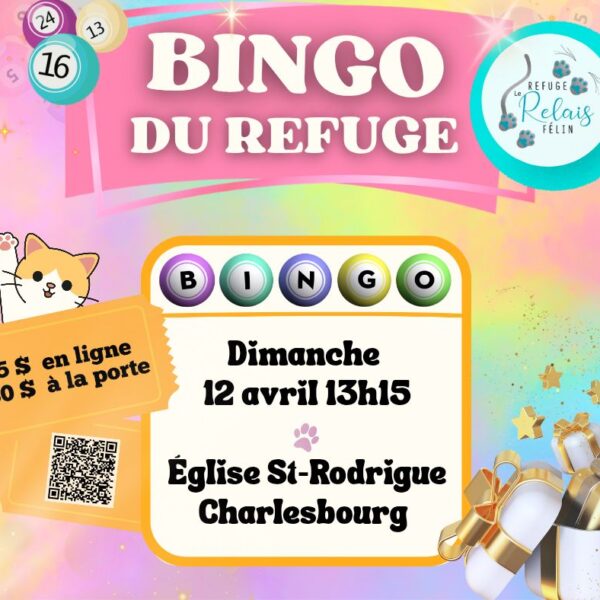Bingo au profit du refuge