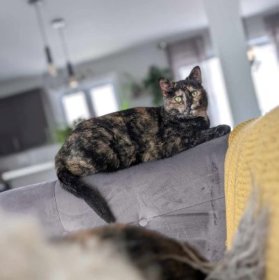 Camille