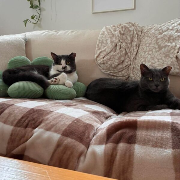 Annie et Suzie