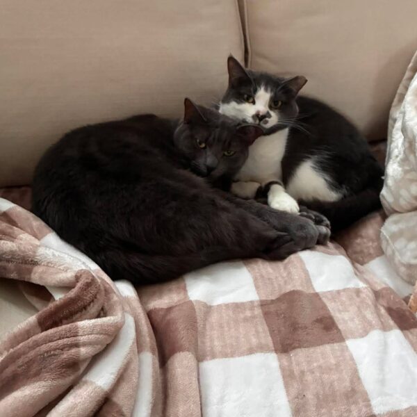 Annie et Suzie
