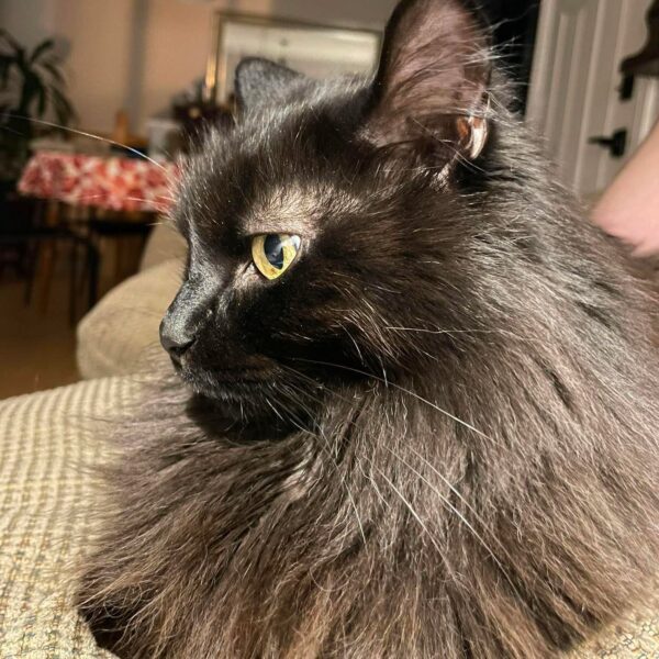 Robert