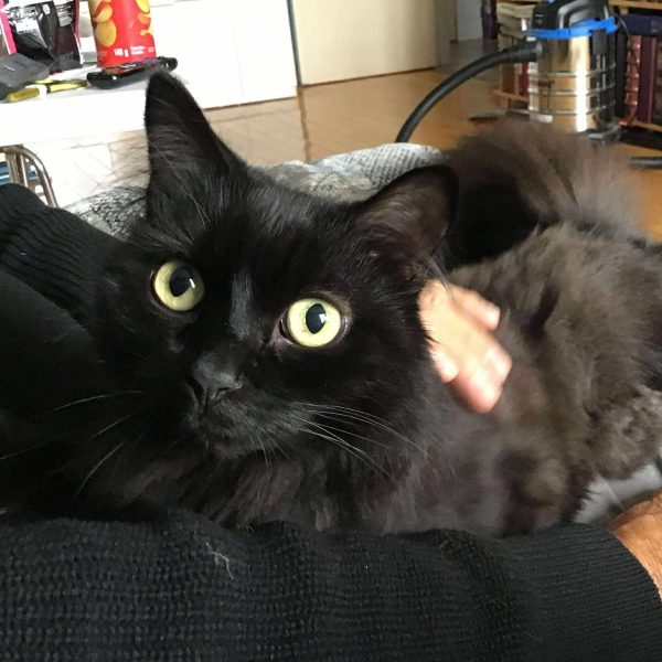 Robert