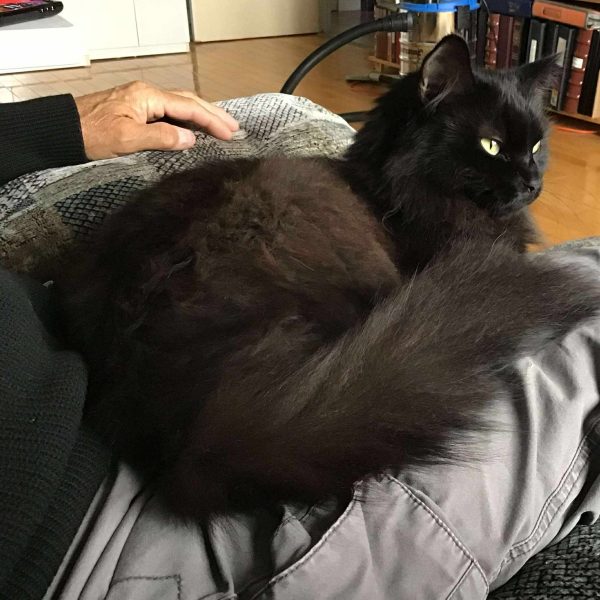 Robert