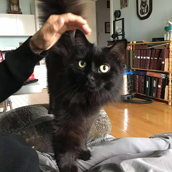Robert