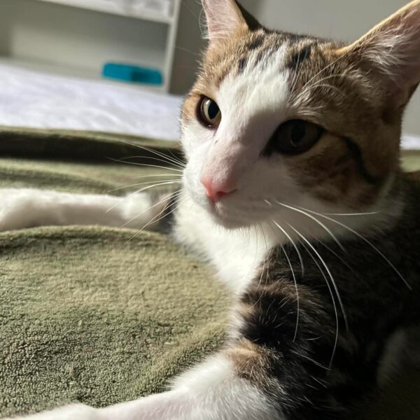 Fred