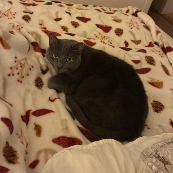 Suzie