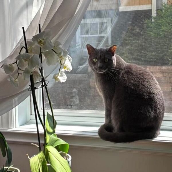 Suzie